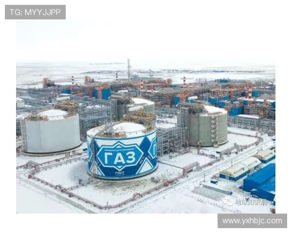 亚马尔地区资源开发与国际合作新机遇探讨